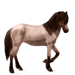 cavalo de passeio quarto de milha rosilho castanho