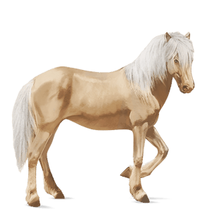 cavalo de passeio quarto de milha alazão tostado