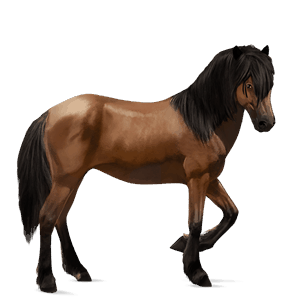 cavalo de passeio trotador francês castanho