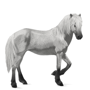 cavalo de passeio hanoveriano castanho escuro