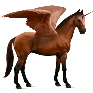 unicórnio alado de passeio trakehner castanho sangue
