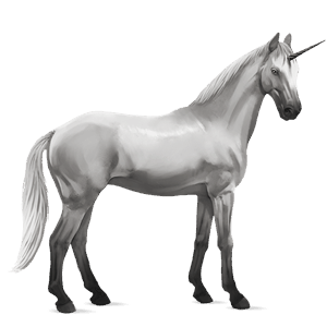 unicórnio de passeio akhal-teke preto