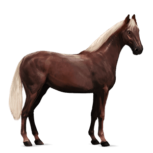 cavalo de passeio quarto de milha tostado ruano