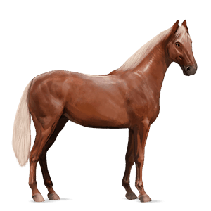cavalo de passeio quarto de milha palomino