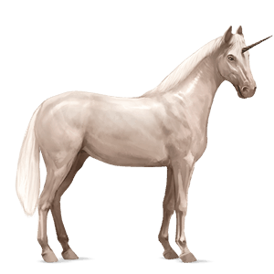 unicórnio de passeio appaloosa manto alazão