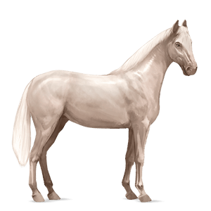 cavalo de passeio quarto de milha rosilho alazão