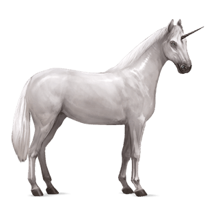 unicórnio de passeio irish sport horse tordilho ruço