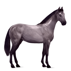 cavalo de passeio lobuno