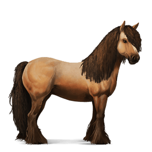 cavalo de passeio quarto de milha tordilho ruço