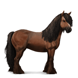 cavalo de passeio castanho