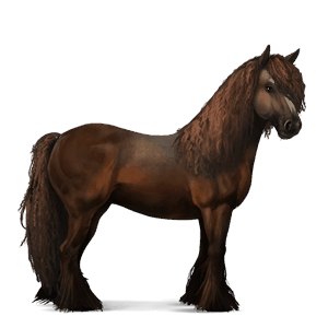 cavalo de passeio trotador francês castanho escuro