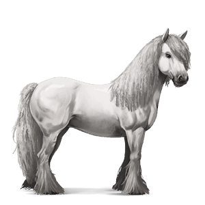 cavalo de passeio trotador francês alazão