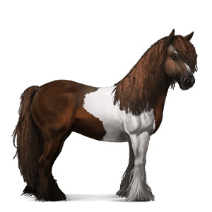 cavalo de passeio tennessee walker tordilho ruço