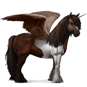 unicórnio alado de passeio gypsy vanner tobiano castanho escuro