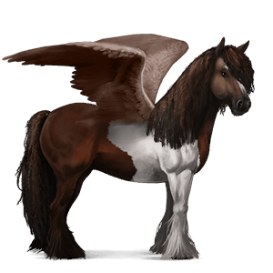 pégaso de passeio paint horse tobiano castanho escuro