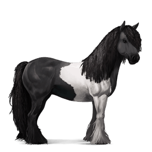 cavalo de passeio quarto de milha alazão ruano