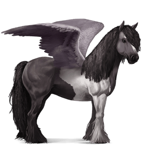 pégaso de passeio gypsy vanner tobiano lobuno