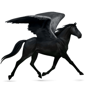 pégaso de passeio paint horse castanho toveiro