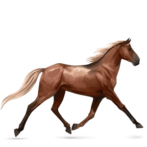 cavalo de passeio trotador francês alazão ruano