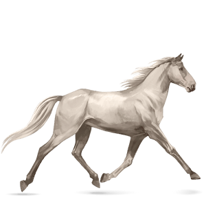 cavalo de passeio irish sport horse tordilho ruço