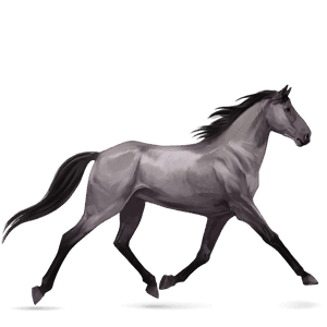 cavalo de passeio trotador francês alazão