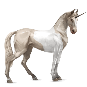 unicórnio de passeio tobiano baio