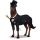 cavalo de passeio doutor maluco