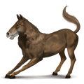 pônei homem-cavalo