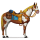 pônei planície