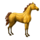 cavalo de passeio deserto