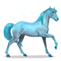 cavalo do arco-íris lovely blue