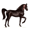 unicórnio de passeio akhal-teke alazão tostado