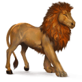 cavalo selvagem leão africano