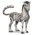 cavalo selvagem leopardo-das-neves