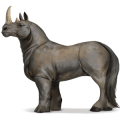 cavalo selvagem rinoceronte