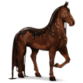 cavalo divino chocolate amargo