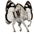 cavalo de passeio konik polonês lobuno