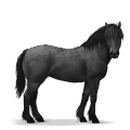 cavalo pré-histórico cavalo da floresta