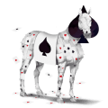 cavalo de passeio holstein alazão tostado