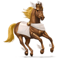 cavalo de passeio lusitano castanho