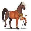 cavalo de passeio lusitano tordilho ruço