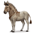 cavalo pré-histórico asno selvagem