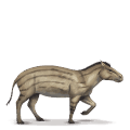 cavalo pré-histórico hyracotherium