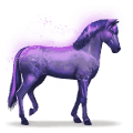 cavalo do arco-íris devoted indigo
