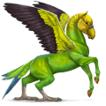 cavalo selvagem periquito-australiano