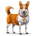 cavalo selvagem welsh corgi