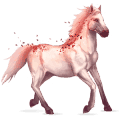 cavalo precioso rubi