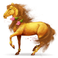 cavalo divino cúrcuma
