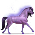 cavalo do arco-íris brave purple