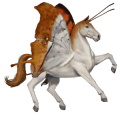 pônei pônei belga palomino